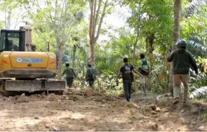 23 Perkara Kejahatan Kehutanan di Bukit Barisan dalam 10 Tahun