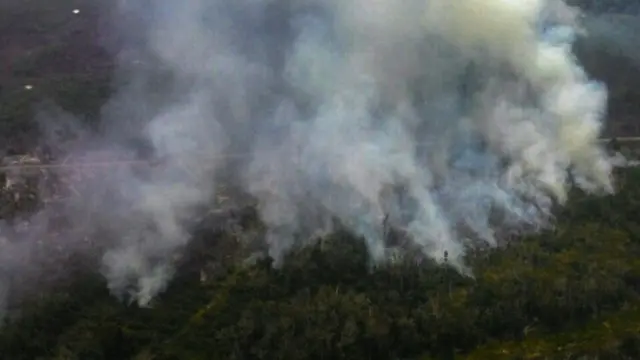 Kebakaran Hutan