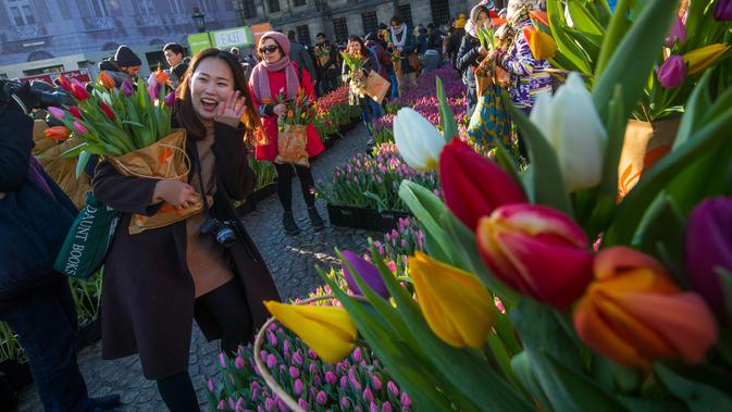 Seorang wanita berpose dengan tulip yang dipetik pada Hari Bunga Tulip Nasional di Dam Square, Amsterdam pada 19 Januari 2019. Sebanyak 200ribu bunga tulip berbagai warna dirancang khusus untuk momentum ini.  (AP/Peter Dejong)