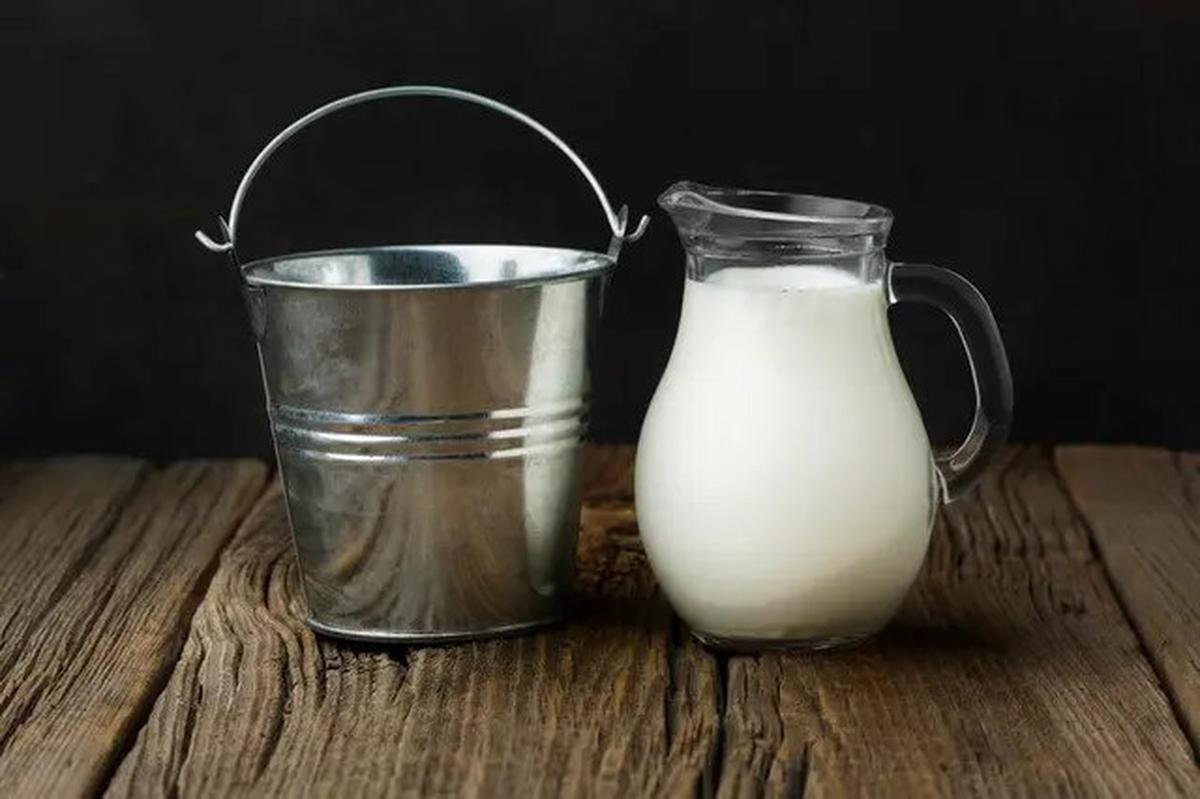 4 Rekomendasi Minuman yang Menyehatkan Ginjal, Jangan Lupa Dikonsumsi Rutin