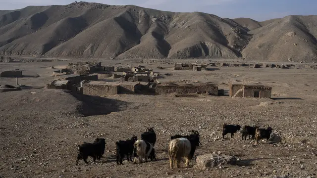 Desa di Afghanistan Dilanda Kekeringan Terparah dalam Beberapa Dekade