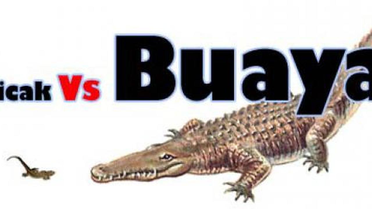 Bibit sebut 'cicak' yang berhak tangani simulator SIM