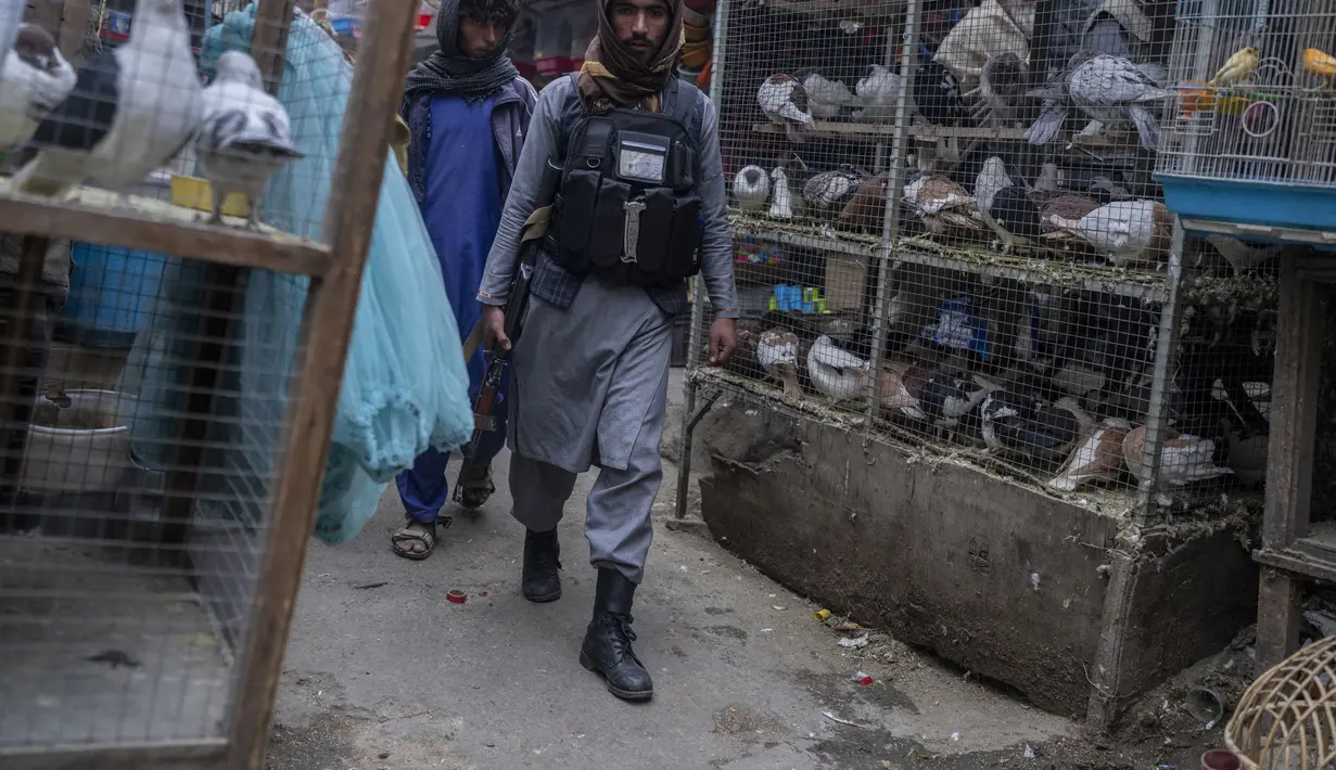 Seorang Taliban berpatroli di pasar burung di Kabul, Afghanistan, Selasa (16/11/2021). Pasar yang terletak di gang-gang sempit ini jadi tempat favorit bagi para pria Afghanistan untuk melepas stress. (AP Photo/Petros Giannakouris)