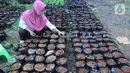Petugas Dinas Ketahanan Pangan (DKP) Kota Tangerang merawat bibit tanaman di Tangerang, Banten, Rabu (4/11/2020). DKP Kota Tangerang menargetkan membagikan 486 ribu bibit tanaman hingga akhir November 2020 untuk warga melalui kecamatan di tengah pandemi COVID-19. (Liputan6.com/Angga Yuniar)