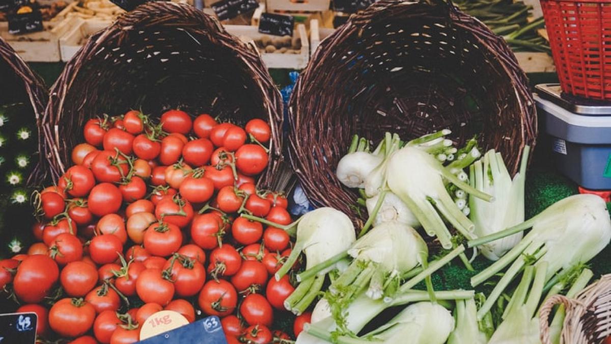Ekosistem Mini di Polybag dan Manfaatnya, Ciptakan Kebun Rumah untuk Hasil Melimpah