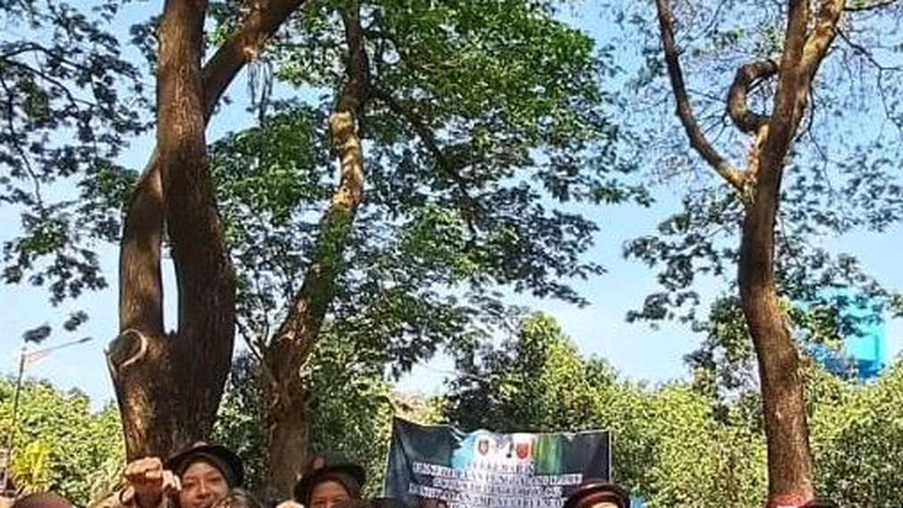 Pohon trembesi berumur puluhan tahun menciptakan suasana nyaman dan teduh.