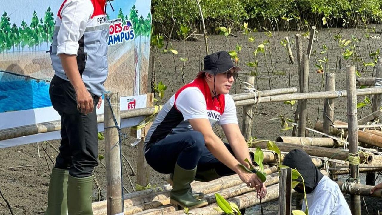 PT Pertamina International Shipping (PIS) melaksanakan aksi hijau sebagai wujud komitmen penerapan ESG (Environmental, Social, and Governance) dengan menanam  bibit mangrove di area pesisir Politeknik Ilmu Pelayaran (PIP) Makassar.