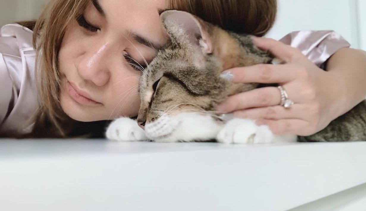 Bersama kucingnya, Bunga Citra Lestari tampak tidur sangat nyenyak. Penampilan BCL yang tampak natural ini sungguh bikin jatuh hati. Pantas saja ibu dari Noah Sinclair ini miliki banyak penggemar. (Liputan6.com/IG/@bclsinclair)