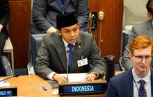 Dari Forum PBB, Menhut Sampaikan Komitmen Pemerintahan Prabowo Subianto soal Kelestarian Hutan