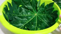 Anti Gagal! Trik Memasak Daun Pepaya Supaya Empuk, Tidak Pahit, dan Tetap Hijau