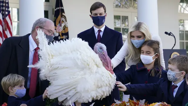 FOTO: Donald Trump Ampuni Seekor Kalkun dalam Tradisi Thanksgiving