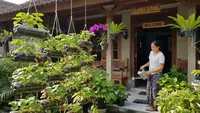 9 Alasan Tanaman Stroberi Tumbuh Subur tetapi Tidak Berbuah, Jangan Sampai Salah Perawatan