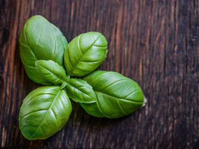 10 Manfaat Daun Basil Untuk Kesehatan Yang Jarang Diketahui Ragam Bola Com