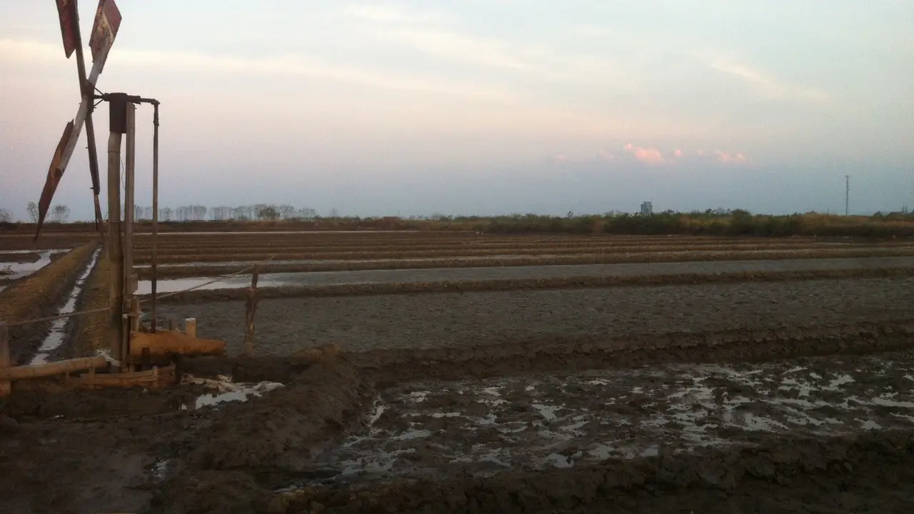 Hari-Hari Gali Lobang Tutup Lobang Petani Garam Cirebon