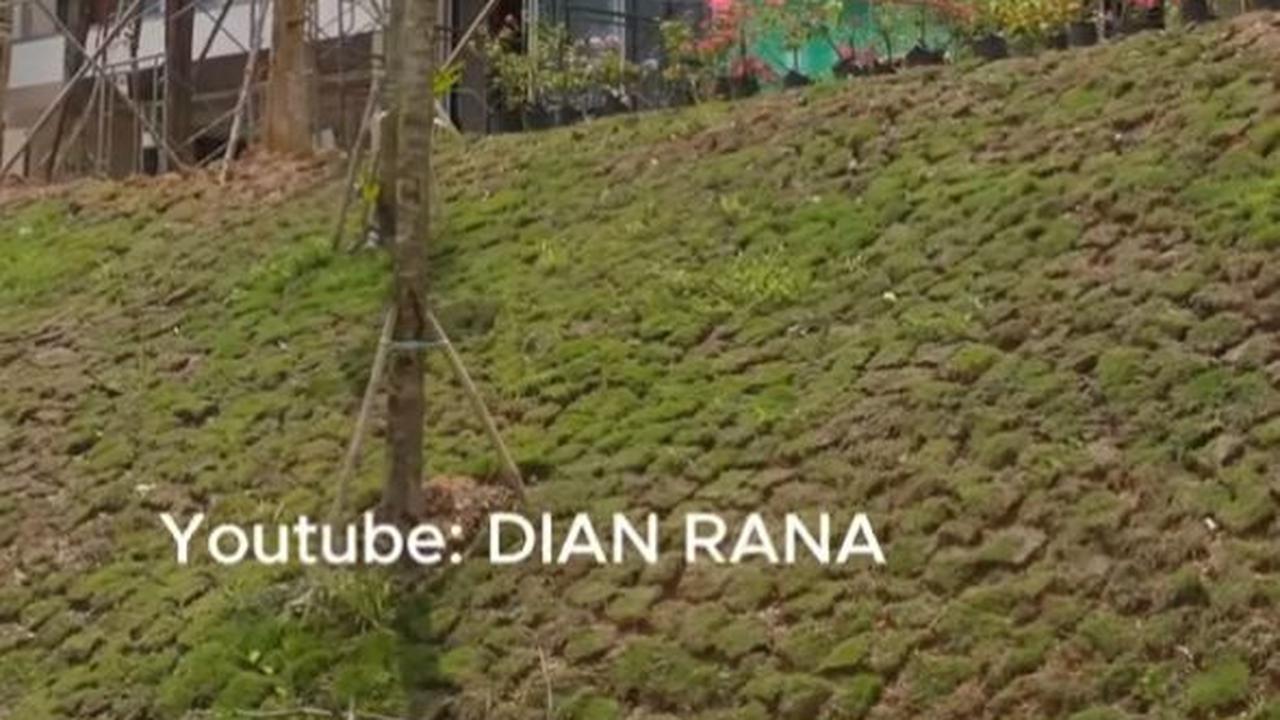 Pak Bas Bakal Jadi Penduduk Pertama, Intip Potret Mewah Rumah Menteri di IKN