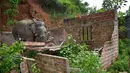 Seekor gajah merobohkan rumah saat penggusuran di Suaka Margasatwa Amchang di pinggiran Gauhati, India (25/8). Pasukan keamanan India mengerahkan gajah untuk menggusur sejumlah rumah ilegal di kawasan tersebut. (AP Photo/Anupam Nath)