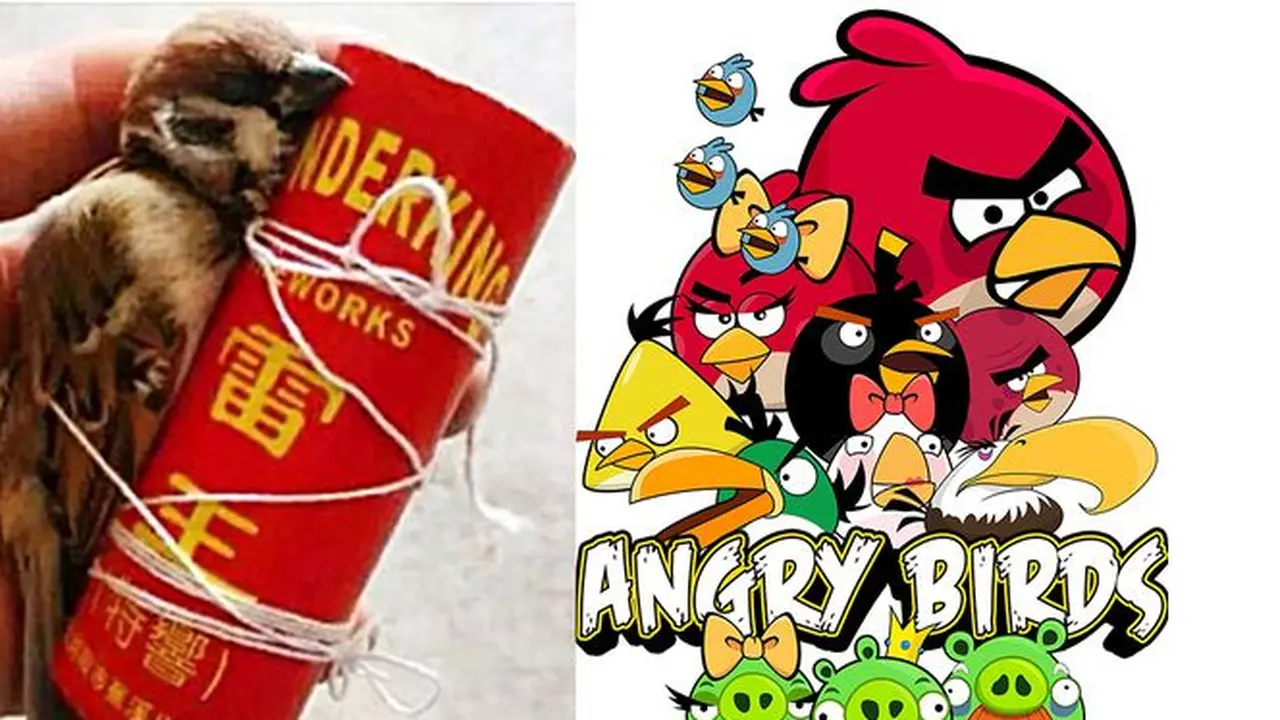 Terinspirasi Angry Birds, Bocah Siksa dan Mutilasi Burung 
