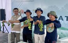 Petambak Sepatin Diajak Rehabilitasi Mangrove untuk Pulihkan Produktivitas Tambak