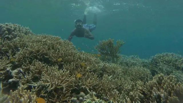Pulau Keffing