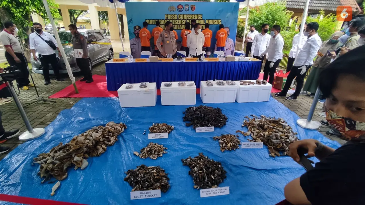 Konferensi pers kasus eksploitasi penyu (Liputan6.com/Fauzan)