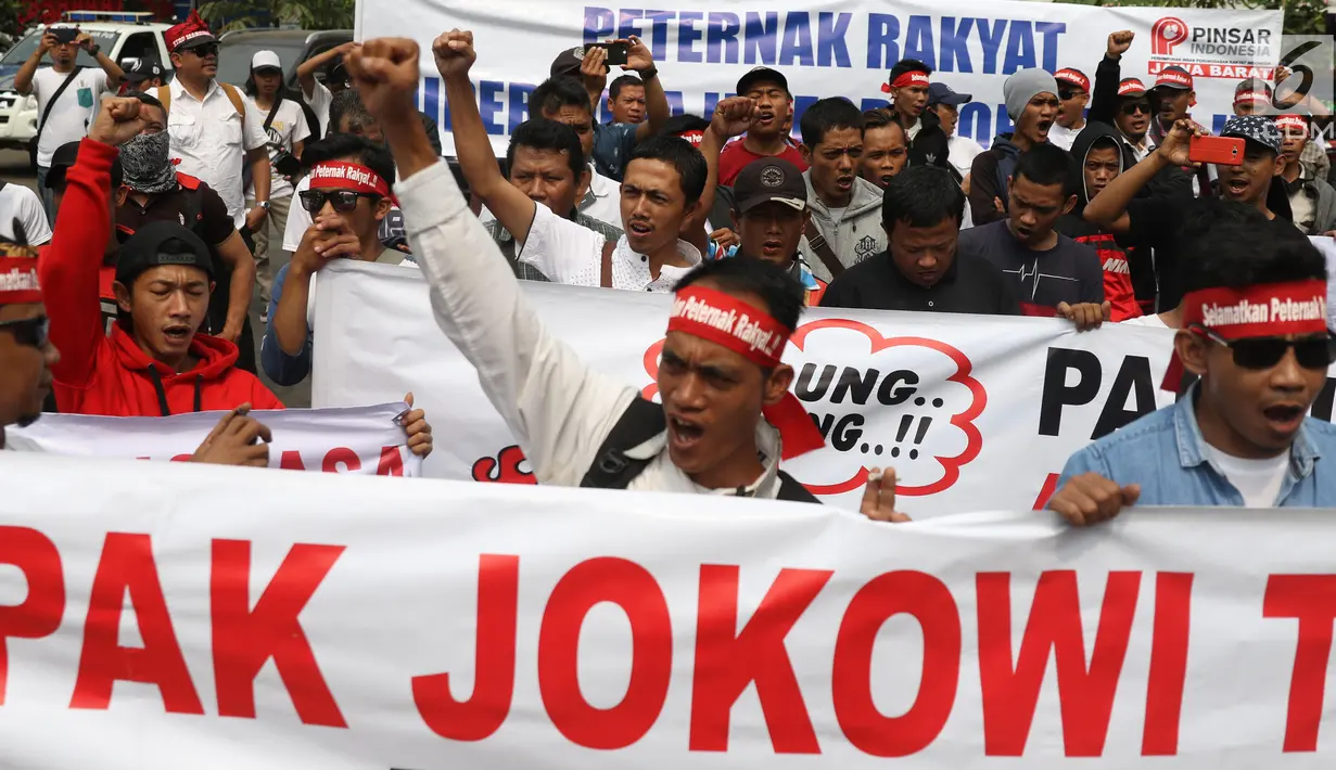 Peternak ayam membentangkan spanduk saat menggelar aksi di depan Kementerian Koordinator Bidang Perekonomian, Jakarta, Kamis (5/9/2019). Ratusan peternak ayam menuntut pemerintah turun tangan menyelesaikan permasalahan harga ayam hidup di tingkat peternak yang kembali anjlok. (Liputan6.com/Angga Yun