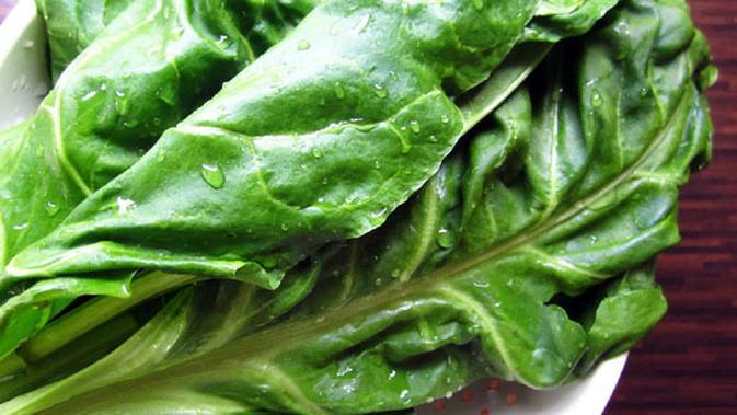 Resep Ramuan Daun Sirih Untuk Obat Keputihan - Beauty ...