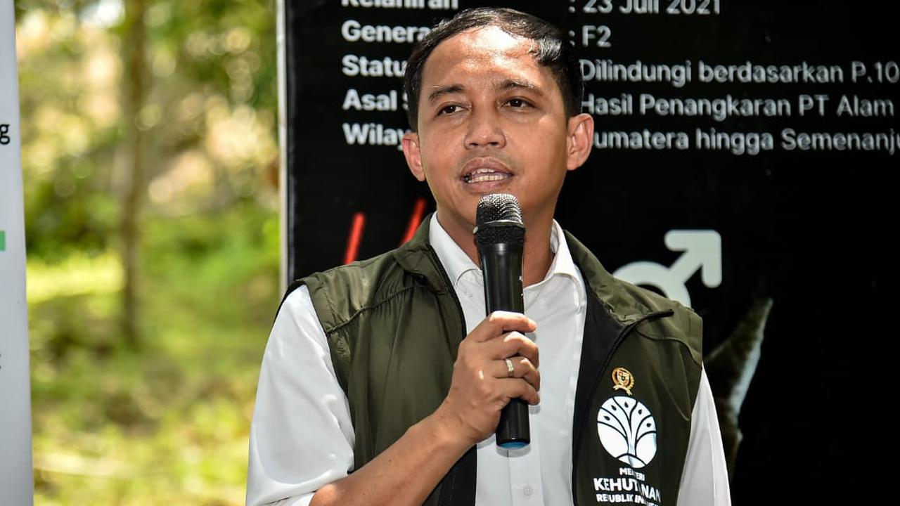 Menhut Pastikan Petani Hutan Dapat Jatah Pupuk: Mereka Tidak Lagi Jadi Anak Tiri