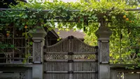 Inspirasi Model Gerbang Buah untuk Teras Rumah Kampung, Ubah Teras Jadi Hijau Produktif