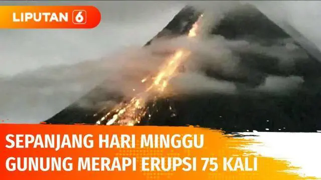 Terhitung sepanjang hari Minggu (09/01), Gunung Merapi meluncurkan awan panas guguran sebanyak 75 kali, dengan jarak luncur maksimal 2.500 meter mengarah ke Kabupaten Magelang.