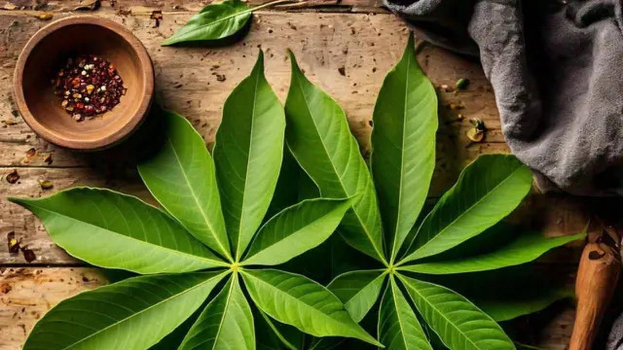 Trik Rahasia Daun Singkong Ala Restoran Padang Tetap Hijau dan Empuk