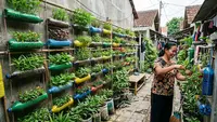 7 Cara Membuat Taman Mini dari Botol Bekas, Solusi Kreatif untuk Lahan Sempit