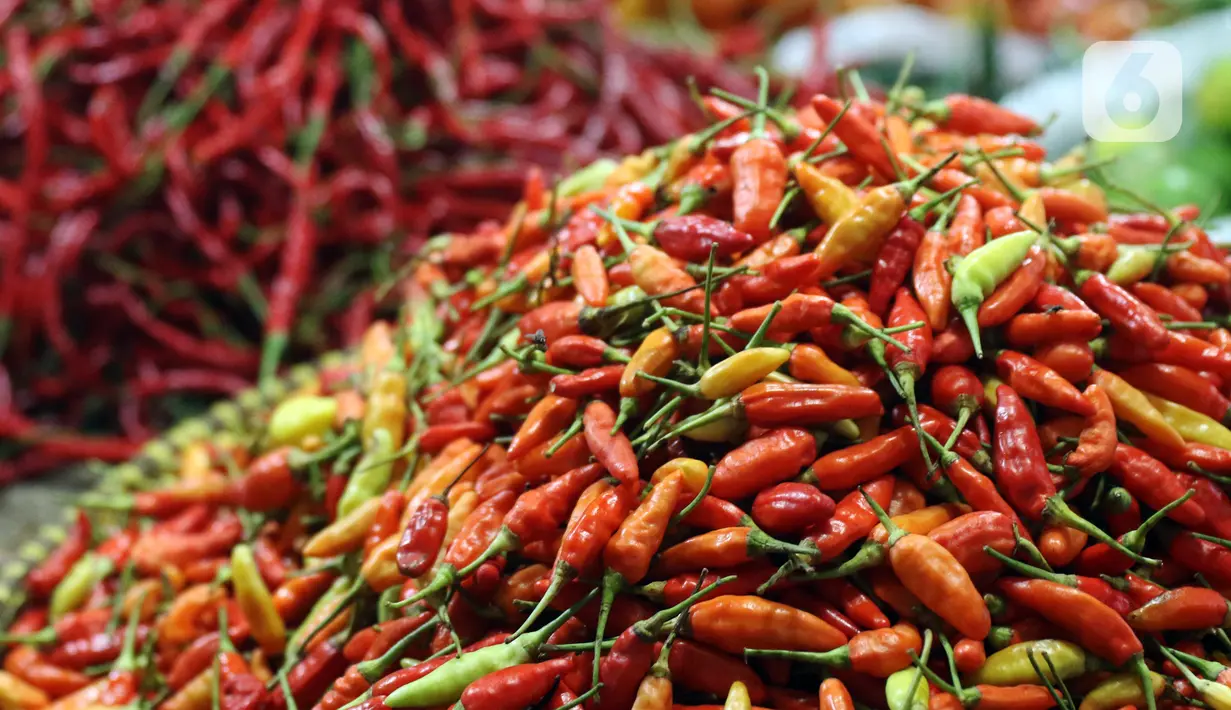 Tumpukan cabai yang dijual di Pasar Lembang, Tangerang, Banten, Selasa (21/12/2021). Jelang Natal, harga cabai rawit merah alami kenaikan hingga menembus Rp 100 ribu per kilo. (Liputan6.com/Angga Yuniar)