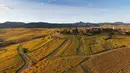 Pemandangan udara pada 26 Oktober 2021, menunjukkan desa Zellenberg, Prancis timur, dikelilingi kebun anggur Alsace pada hari musim gugur. Saat memasuki pertengahan bulan Oktober, daun-daun akan berubah warna menyajikan pemandangan musim gugur yang memesona. (SEBASTIEN BOZON / AFP)