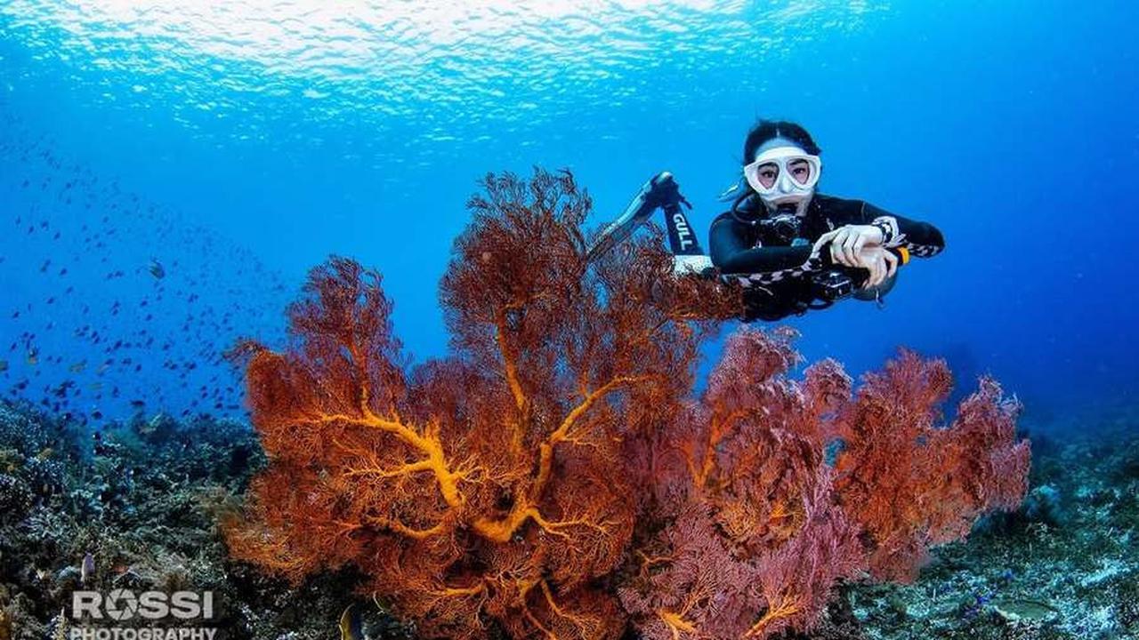 7 Potret Gisella Anastasia Diving di Tulamben dan Amed Bali Tunjukkan Keindahan Bawah Laut, Panen Pujian Keren Abis