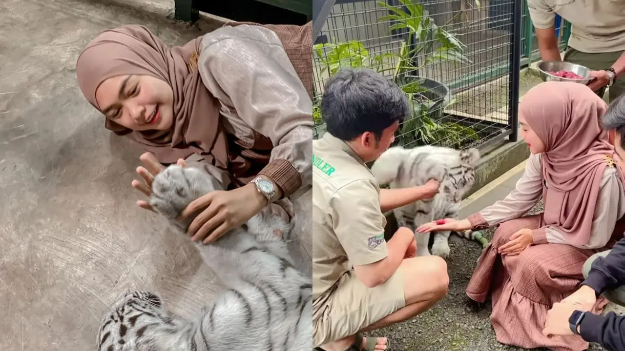 Ria Ricis Digigit Harimau