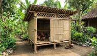 7 Desain Kandang Ayam Kampung dengan Sistem Pintu Geser, Maksimalkan Ruang