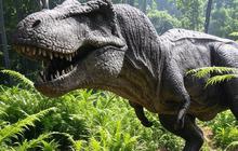Ternyata Bukan T-Rex Dinosaurus yang Larinya Paling Cepat