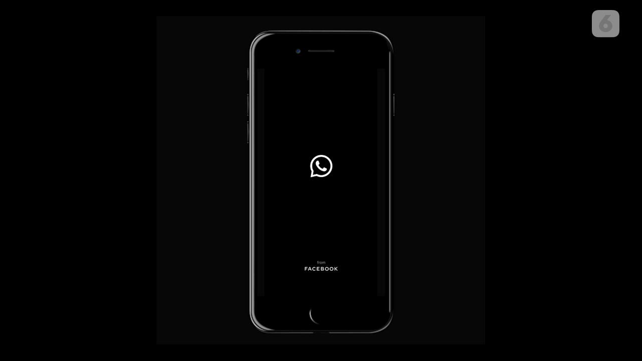 Ilustrasi WhatsApp, Aplikasi WhatsApp