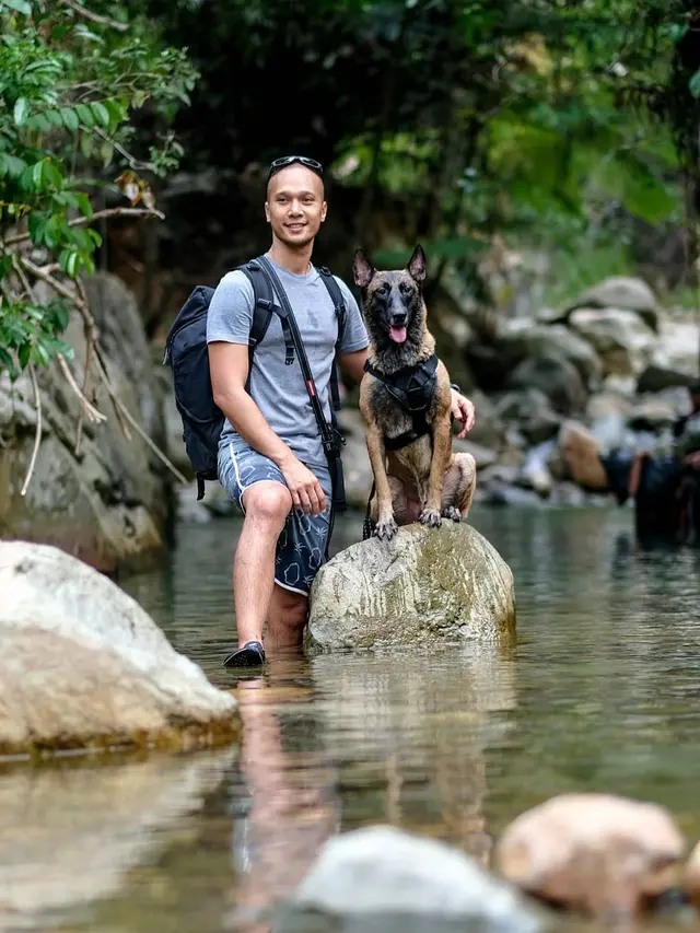 7 Potret Sparta, Anjing Bima Aryo yang Gigit ART
