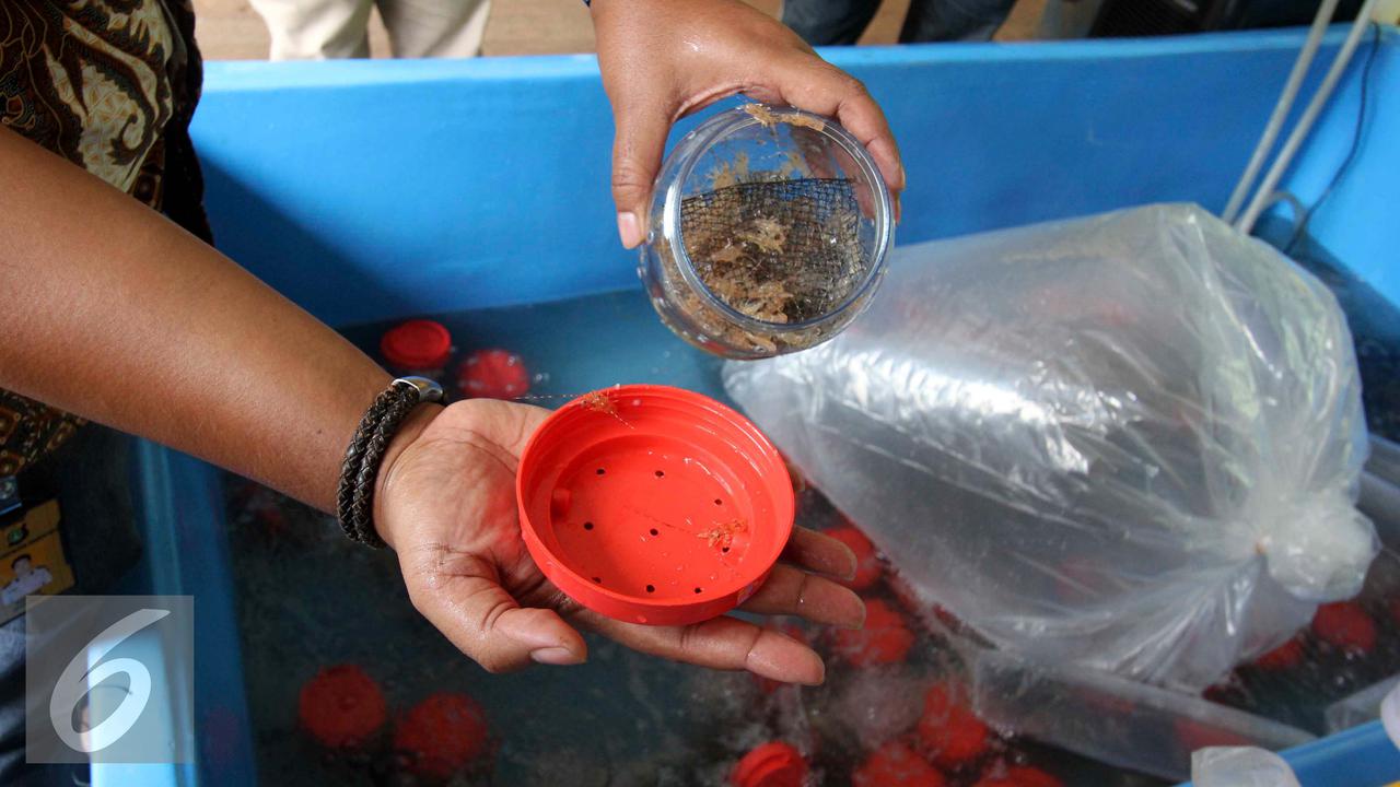 20161223-Rilis-Penyelundupan-GM1