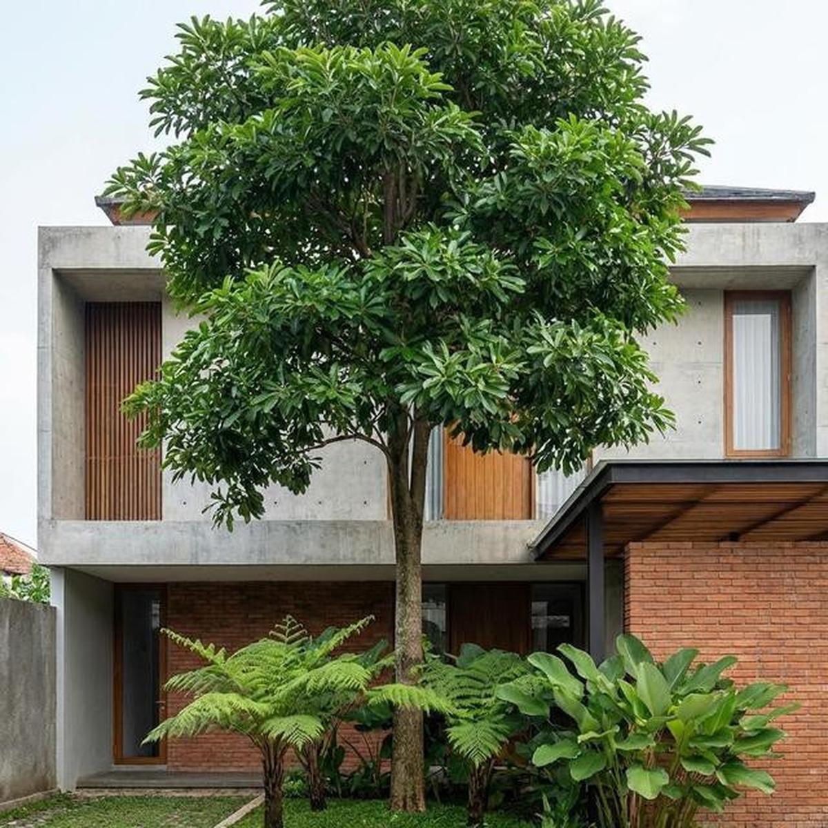 7 Model Taman Rumah Ideal dan Sehat untuk Keluarga, Hunian Asri Nyaman Ditinggali