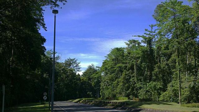 6 Fakta Menarik tentang Kuala Kencana, Kota Modern di Tengah Hutan Mimika Papua