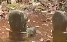 Kondisinya Terbengkalai di Tengah Hutan, Begini Cerita Makam Sinden Berusia Ratusan Tahun di Kebumen