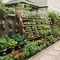 Cara Membuat Kebun Botol Bekas yang Cocok untuk Pemula, Solusi Berkebun Praktis Hemat Biaya
