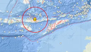 Gempa M 7,7 Guncang Nagekeo NTT, BMKG Keluarkan Peringatan Tsunami