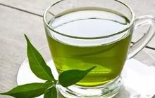 Resep Rebusan Daun yang Ampuh Untuk Turunkan Kolesterol