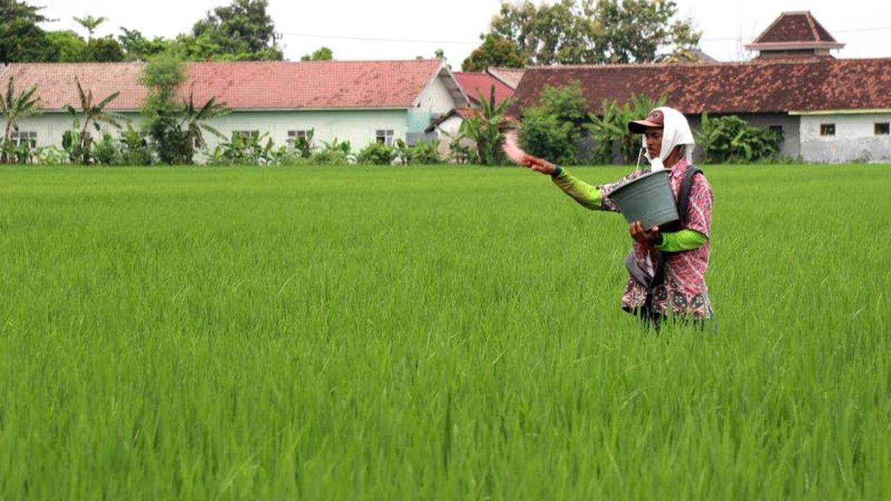 Terobosan BRIN: Metode Produksi Pupuk Nitrogen Ramah Lingkungan Hemat Energi