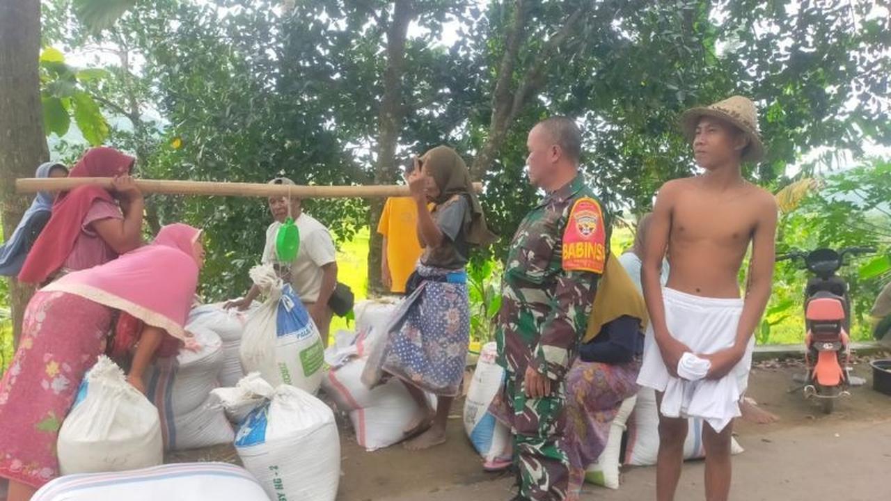 Kodim 1620 Lombok Tengah Perketat Pengawasan Pembelian Gabah Petani untuk Ketahanan Pangan