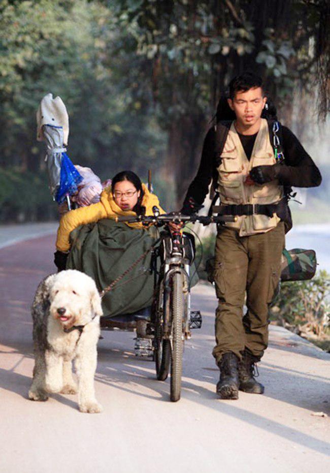 Ding dan anjingnya yang setia menarik kursi roda Lai | foto: copyright chinadaily.com.cn