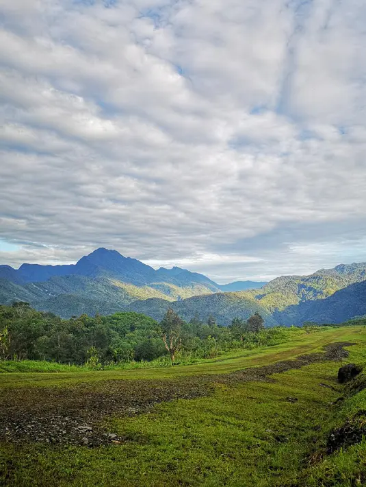 Lapangan terbang atau airstrip di Distrik Puldama, Kabupaten Yahukimo, Provinsi Papua. Lapangan terbang sepanjang 700m ini adalah satu-satunya akses menjangkau Distrik Puldama. (Liputan6.com/HO/Hadi M Juraid)
